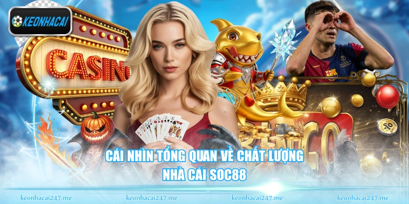 Soc88 - Sân Chơi Giải Trí Đẳng Cấp Hàng Đầu Châu Á 1 Cái nhìn tổng quan về chất lượng nhà cái Soc88